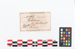 Etikett zu Bronzeknotenarmreif (NHMW-PRAE-025465)